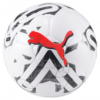 Puma Orbiter FIFA Basic Quality Ball